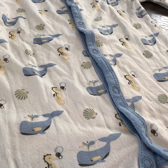 Retired Kyte Bundle - Picture 2 of 13